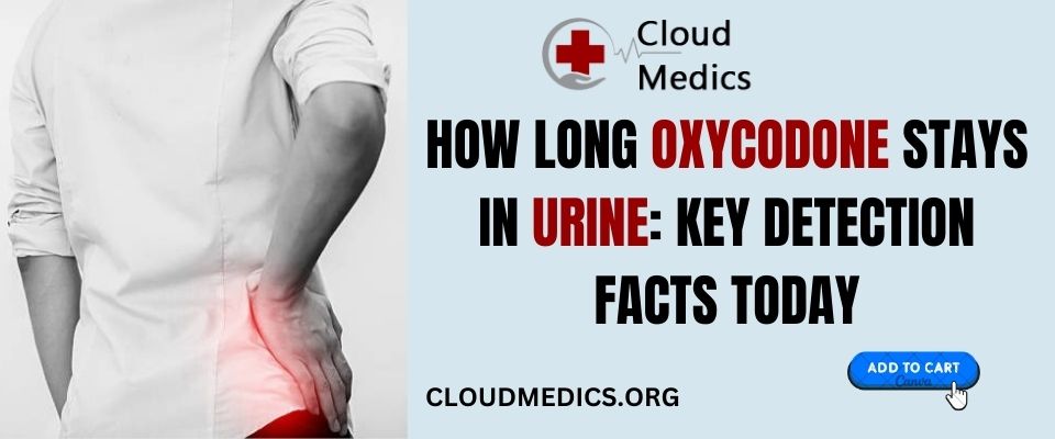 How Long Oxycodone Stays in Urine Key Detection Facts Today